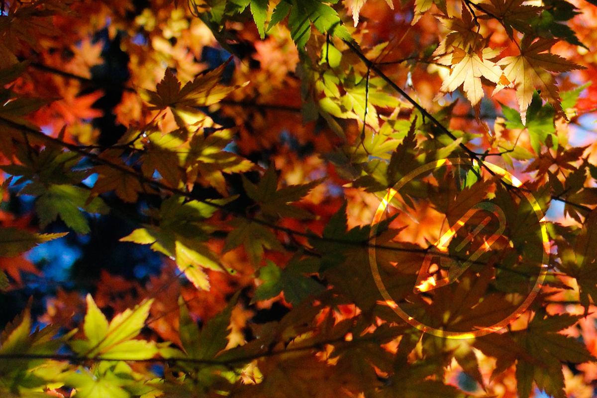 | Generate UK httpsencrycom